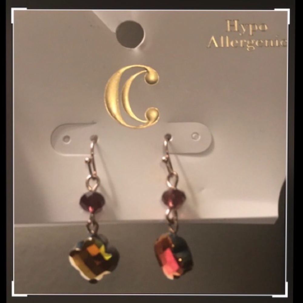 Hypo Allergenic Drop Earrings